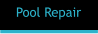 Pool Repair